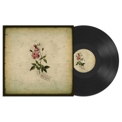 IN THE PINES - s/t - LP